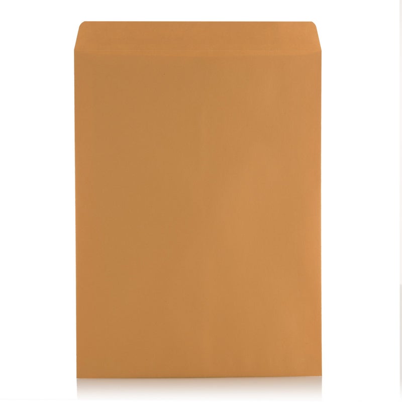 Aimoh 9 X 12 Self-Seal Brown Kraft Catalog Mailing Envelopes - 28lb - 100 Count, 9x12 Inch (38300) - Image 3